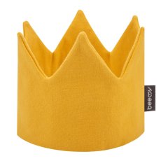 Korunka pro děti AMBER